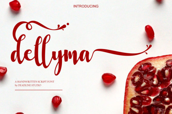 Dellyma: A Designer’s Honest Review for Branding