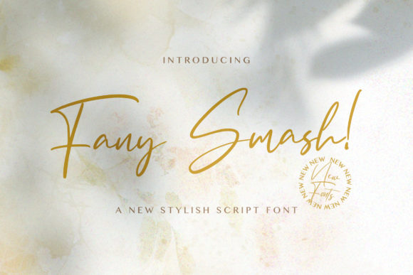 Fany Smash Font: Elevate Your Brand Identity