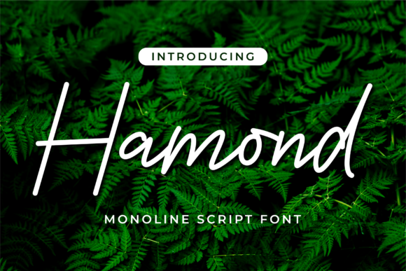 Hamond Font Review: Elevating Campaign Visuals
